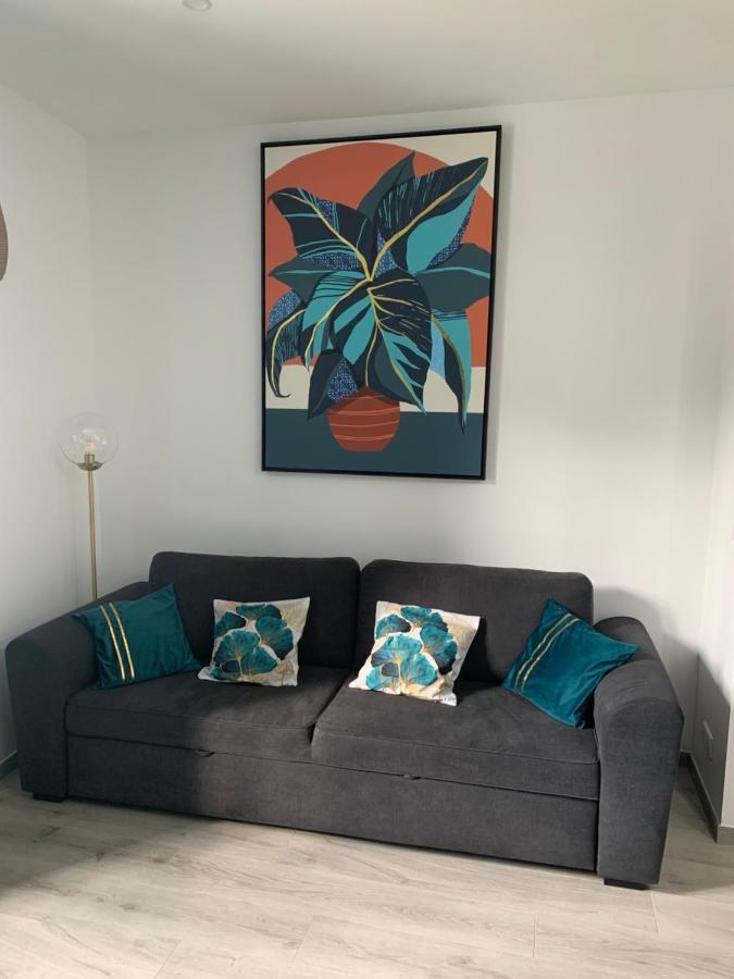 Appartement Etat Neuf La Chantalane -Proche Centre-Ville 戛纳 外观 照片